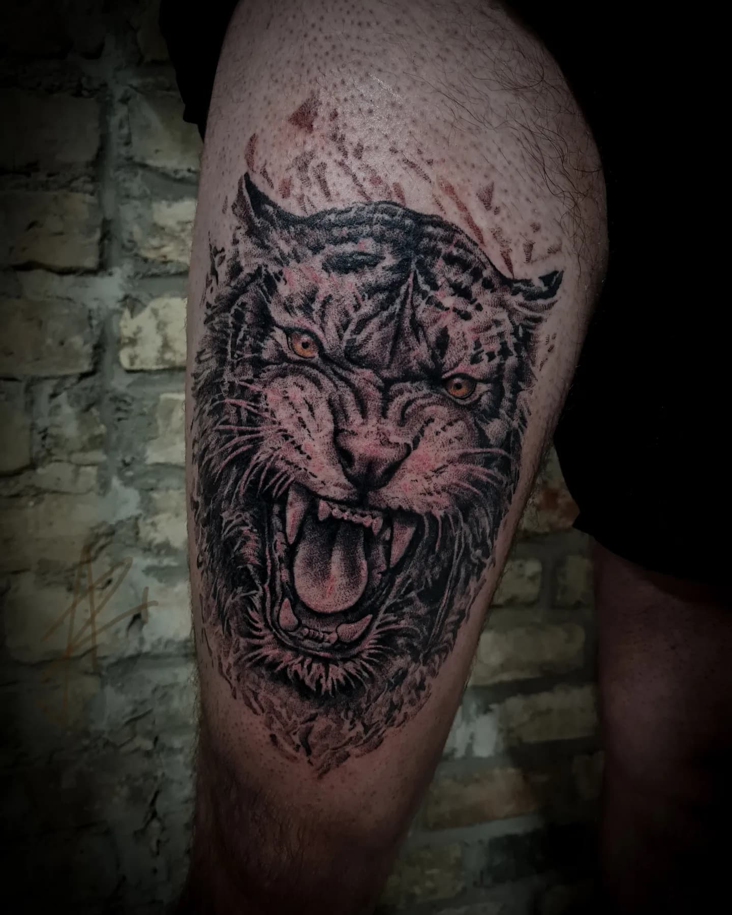 Realism stiliaus riaumojančio tigro tatuiruotė Vilniuje